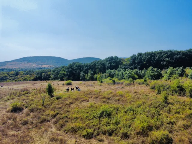 Eladó mezőgazdasági ingatlan Szentendre, Sztaravoda 1848 nm