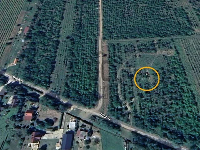 Eladó mezőgazdasági ingatlan Vác 24431 nm