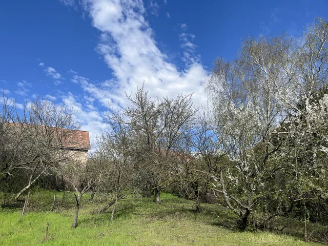 Eladó telek Szentendre 1165 nm