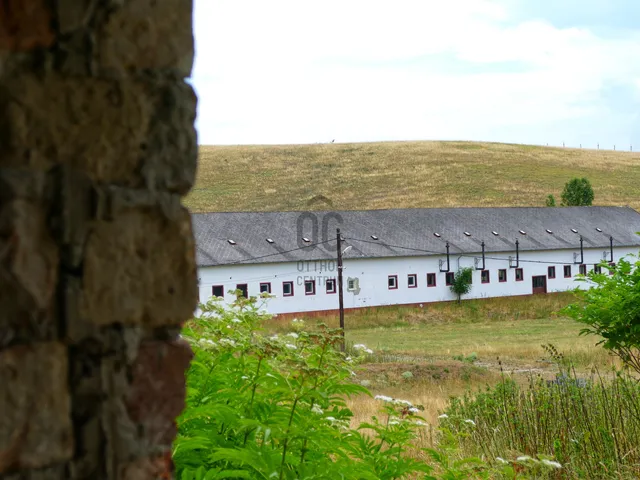 Eladó mezőgazdasági ingatlan Nagykeresztúr 33761 nm