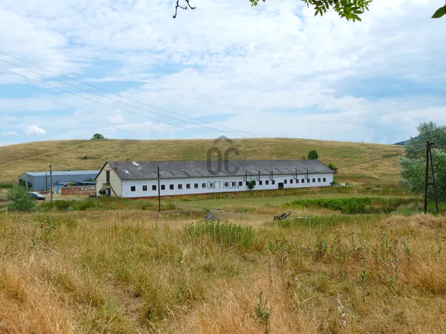 Eladó mezőgazdasági ingatlan Nagykeresztúr 33761 nm