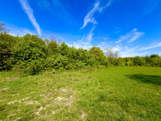 Eladó mezőgazdasági ingatlan Szentendre 5199 nm