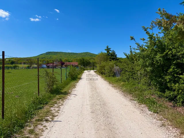 Eladó mezőgazdasági ingatlan Szentendre 4359 nm