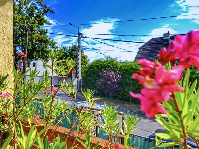 Eladó ház Szentendre 171 nm