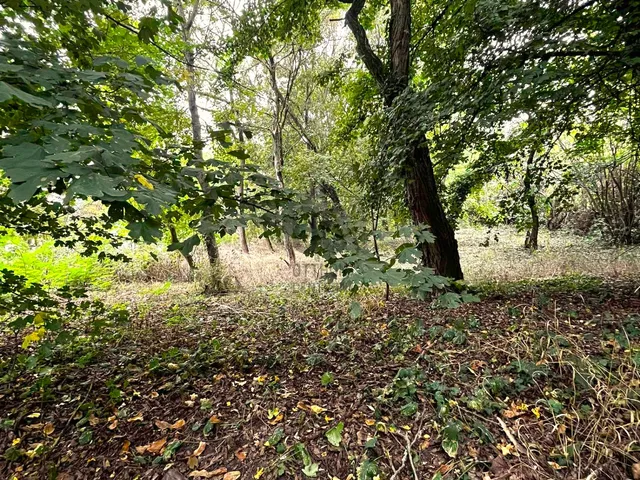 Eladó telek Pomáz 1187 nm