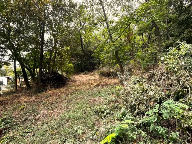 Eladó telek Pomáz 2176 nm