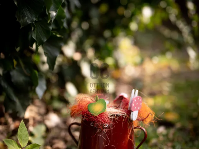 Eladó ház Dunabogdány 252 nm