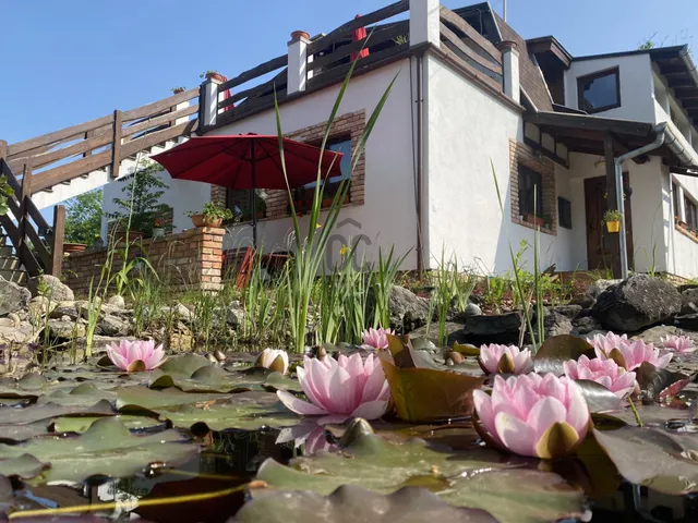 Eladó lakás Szigetmonostor, Horány 33 nm