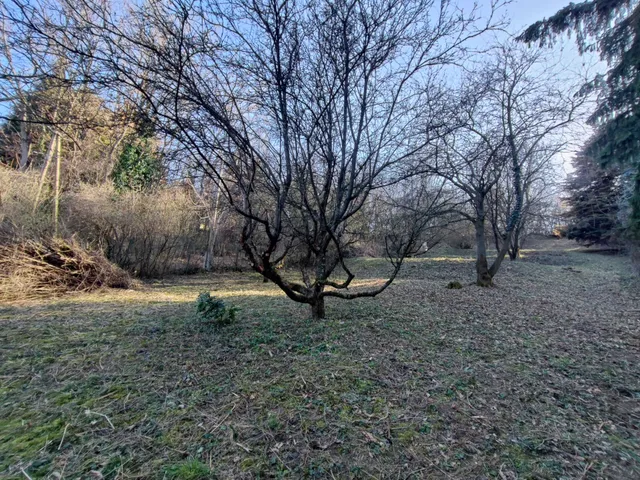 Eladó telek Tahitótfalu 1280 nm