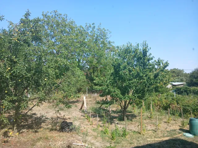 Eladó ház Pomáz, Messelia 737 nm