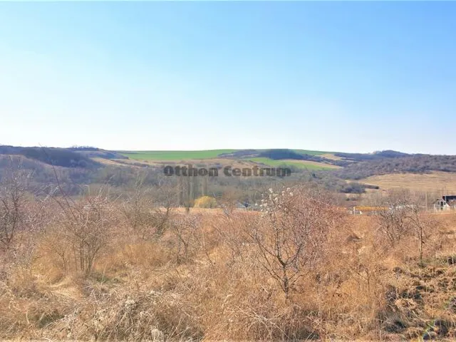 Eladó telek Tinnye 5040 nm