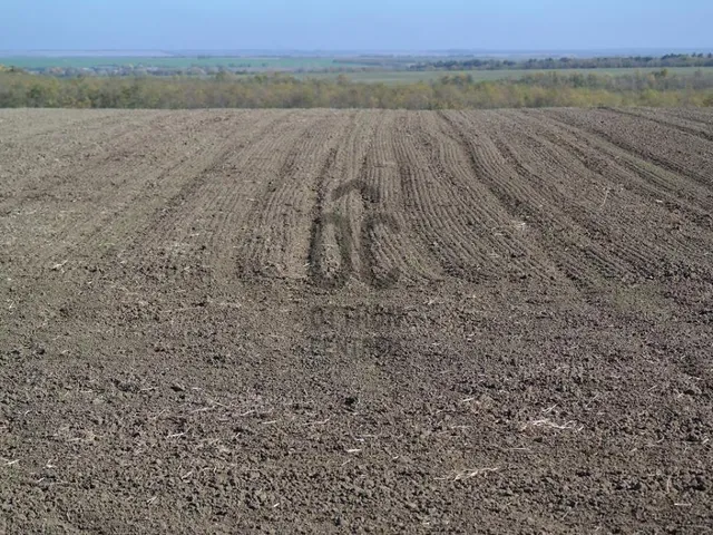 Eladó mezőgazdasági ingatlan Siófok, Töreki 10385 nm