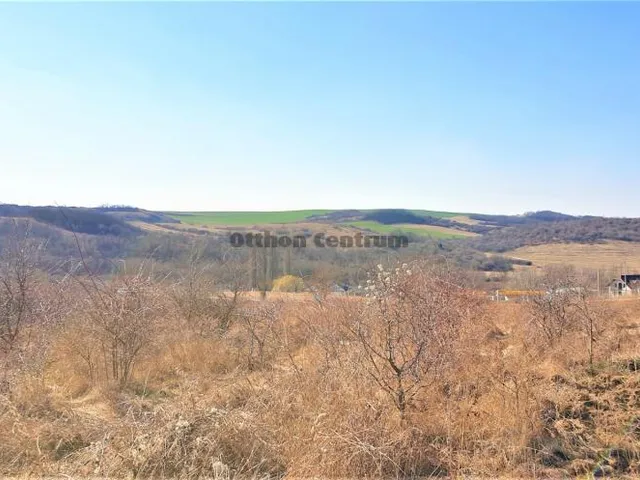 Eladó telek Tinnye 5040 nm