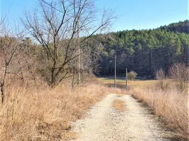 Eladó telek Tinnye 5040 nm