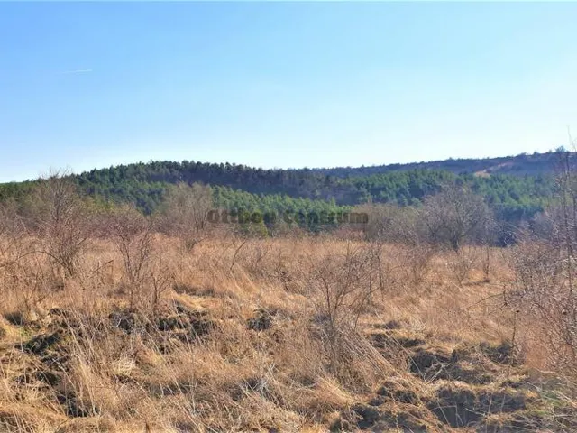 Eladó telek Tinnye 5040 nm