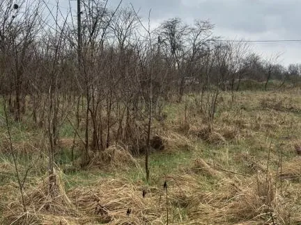 Eladó telek Szada 1500 nm