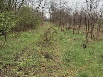 Eladó telek Szada 1500 nm