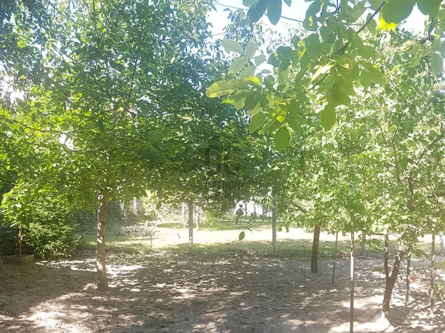 Eladó telek Szekszárd, Bezerédj utca 350 nm