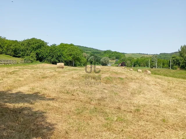 Eladó mezőgazdasági ingatlan Szekszárd, Alsóváros 14647 nm