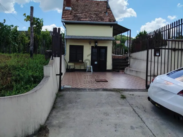 Eladó mezőgazdasági ingatlan Szekszárd, Palánkihegy, Bor utca 988 nm
