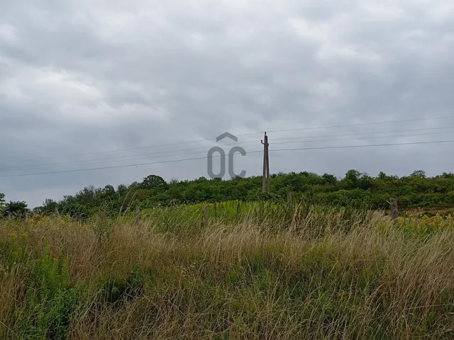 Eladó mezőgazdasági ingatlan Alsónána, Külterület 8068 nm