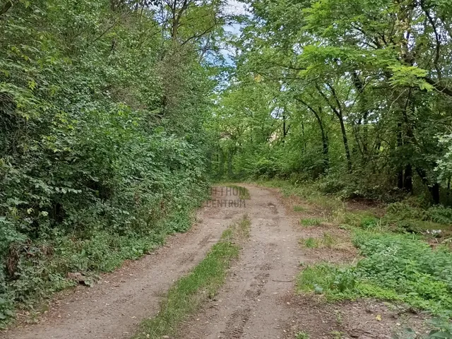 Eladó mezőgazdasági ingatlan Alsónána, Külterület 8068 nm