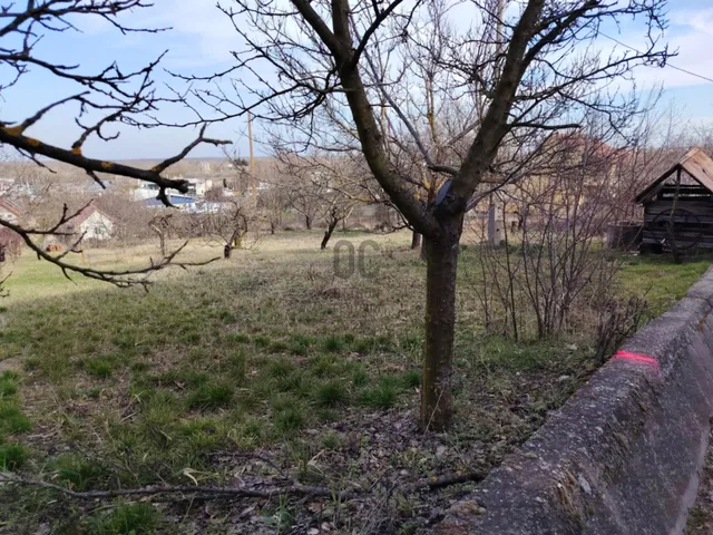 Eladó mezőgazdasági ingatlan Szekszárd, Palánkihegy 1058 nm