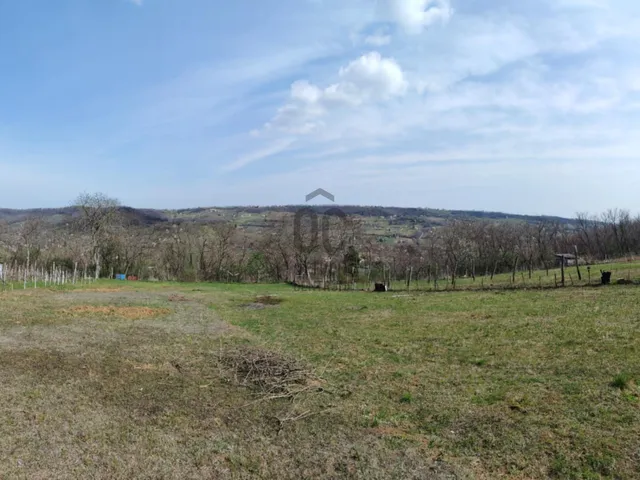 Eladó mezőgazdasági ingatlan Szekszárd 2448 nm