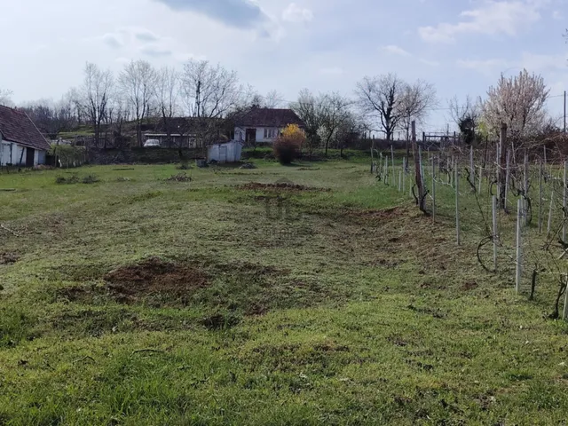 Eladó mezőgazdasági ingatlan Szekszárd 2448 nm