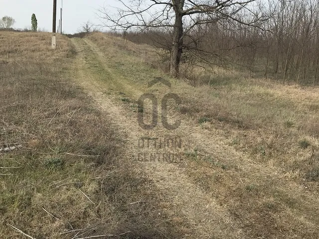 Eladó mezőgazdasági ingatlan Tápióbicske 2813 nm