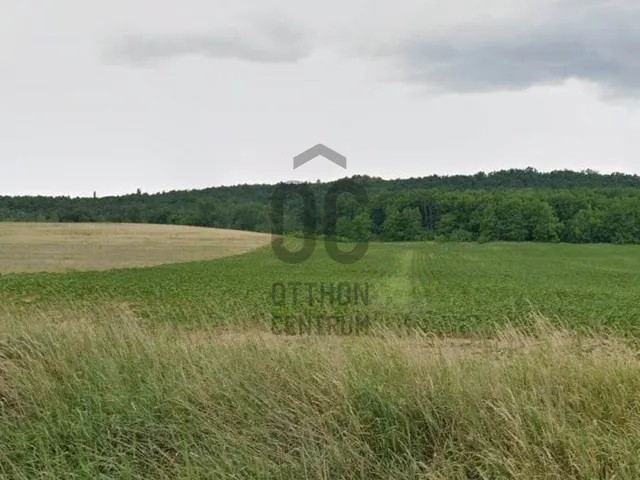 Eladó telek Isaszeg 34000 nm