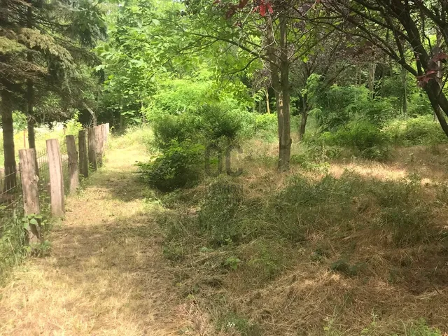 Eladó telek Pécel 5000 nm