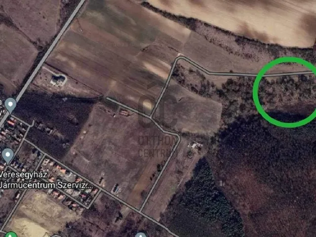 Eladó mezőgazdasági ingatlan Őrbottyán 8852 nm