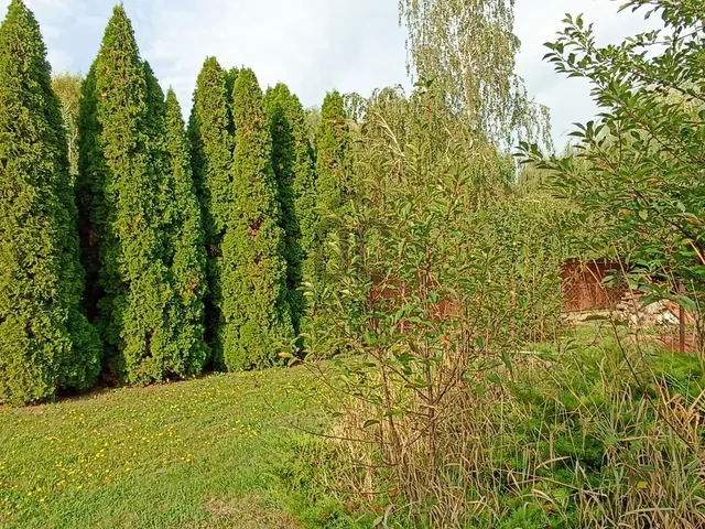 Eladó telek Budapest XVII. kerület, Rákoscsaba 512 nm