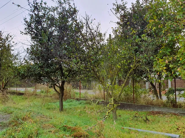 Eladó telek Szigetszentmiklós, Felsőtag 1170 nm