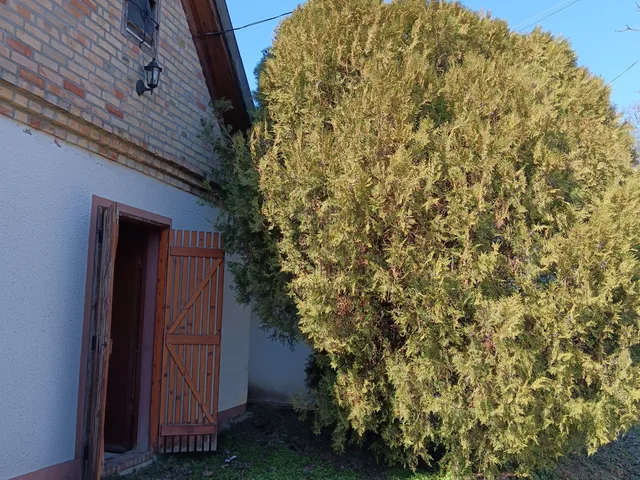 Eladó mezőgazdasági ingatlan Bölcske, Havasi pincesor 108 nm