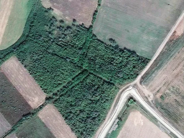 Eladó mezőgazdasági ingatlan Tiszasziget 36485 nm