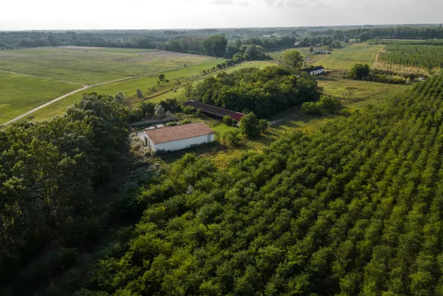 Eladó mezőgazdasági ingatlan Ruzsa 14015 nm