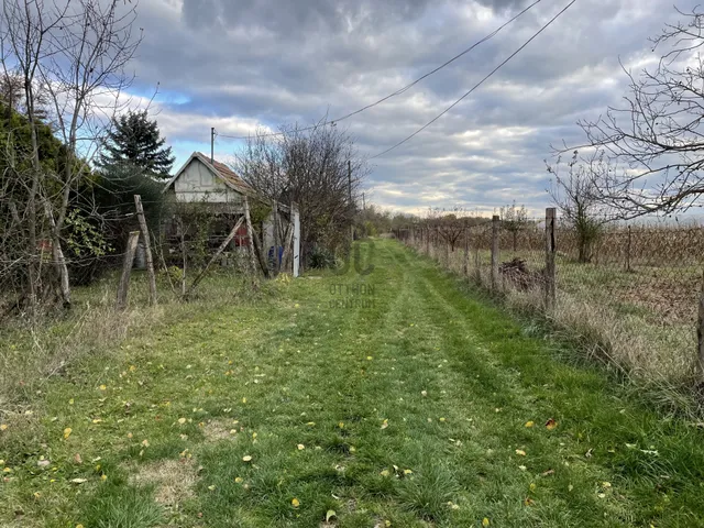 Eladó mezőgazdasági ingatlan Szeged, Szőreg 750 nm