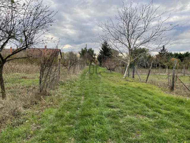 Eladó mezőgazdasági ingatlan Szeged, Szőreg 750 nm