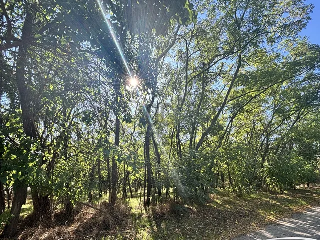 Eladó mezőgazdasági ingatlan Domaszék 6010 nm