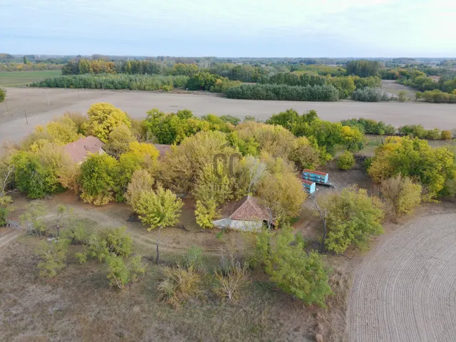 Eladó ház Balástya 120 nm