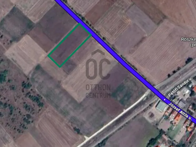 Eladó mezőgazdasági ingatlan Röszke 3200 nm