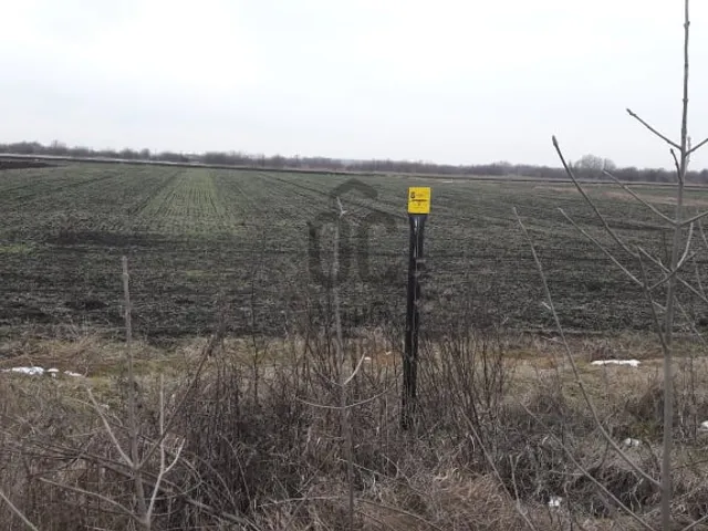 Eladó mezőgazdasági ingatlan Röszke 3200 nm