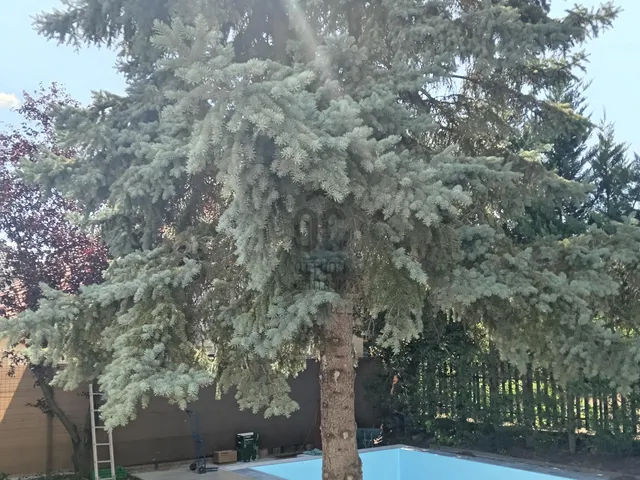 Eladó ház Gödöllő 182 nm