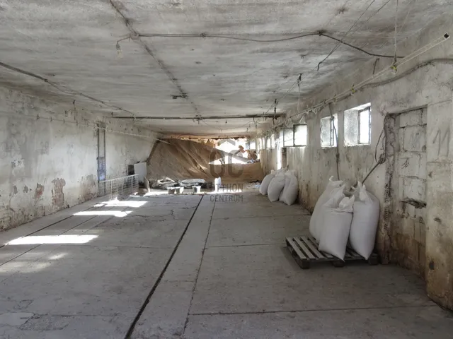 Eladó mezőgazdasági ingatlan Kecskemét, Borbás 25000 nm