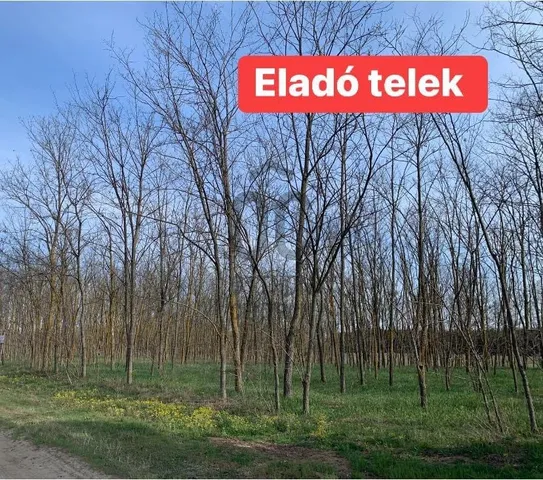 Eladó telek Kecskemét, Szarkás 6531 nm