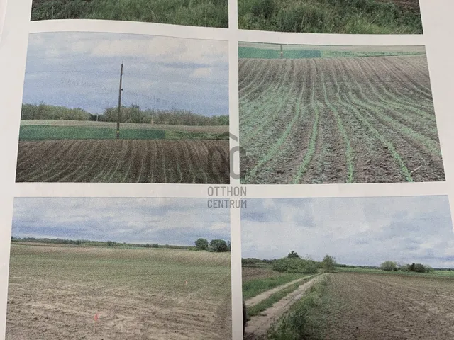Eladó telek Kecskemét, Hetényegyháza 14028 nm