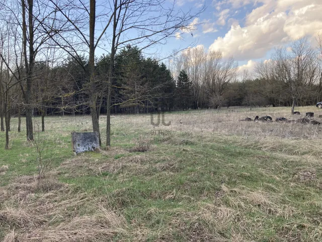 Eladó telek Kecskemét, Szarkás 3054 nm