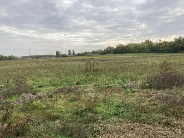 Eladó telek Kecskemét, Belsőnyír 22885 nm